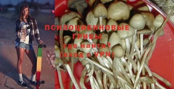 ГАЛЛЮЦИНОГЕННЫЕ ГРИБЫ Бронницы