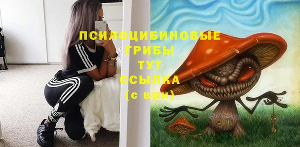ГАЛЛЮЦИНОГЕННЫЕ ГРИБЫ Бронницы