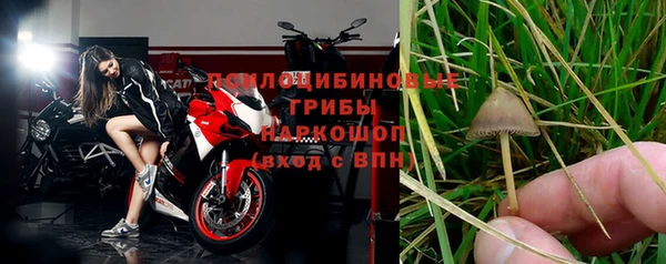 ГАЛЛЮЦИНОГЕННЫЕ ГРИБЫ Бронницы
