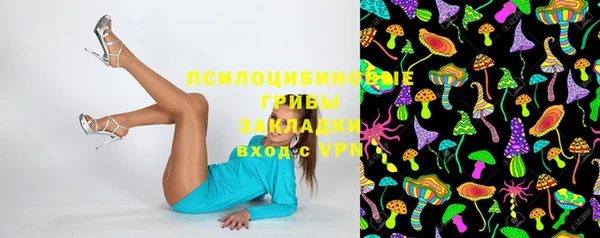 spice Бородино