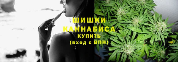spice Бородино